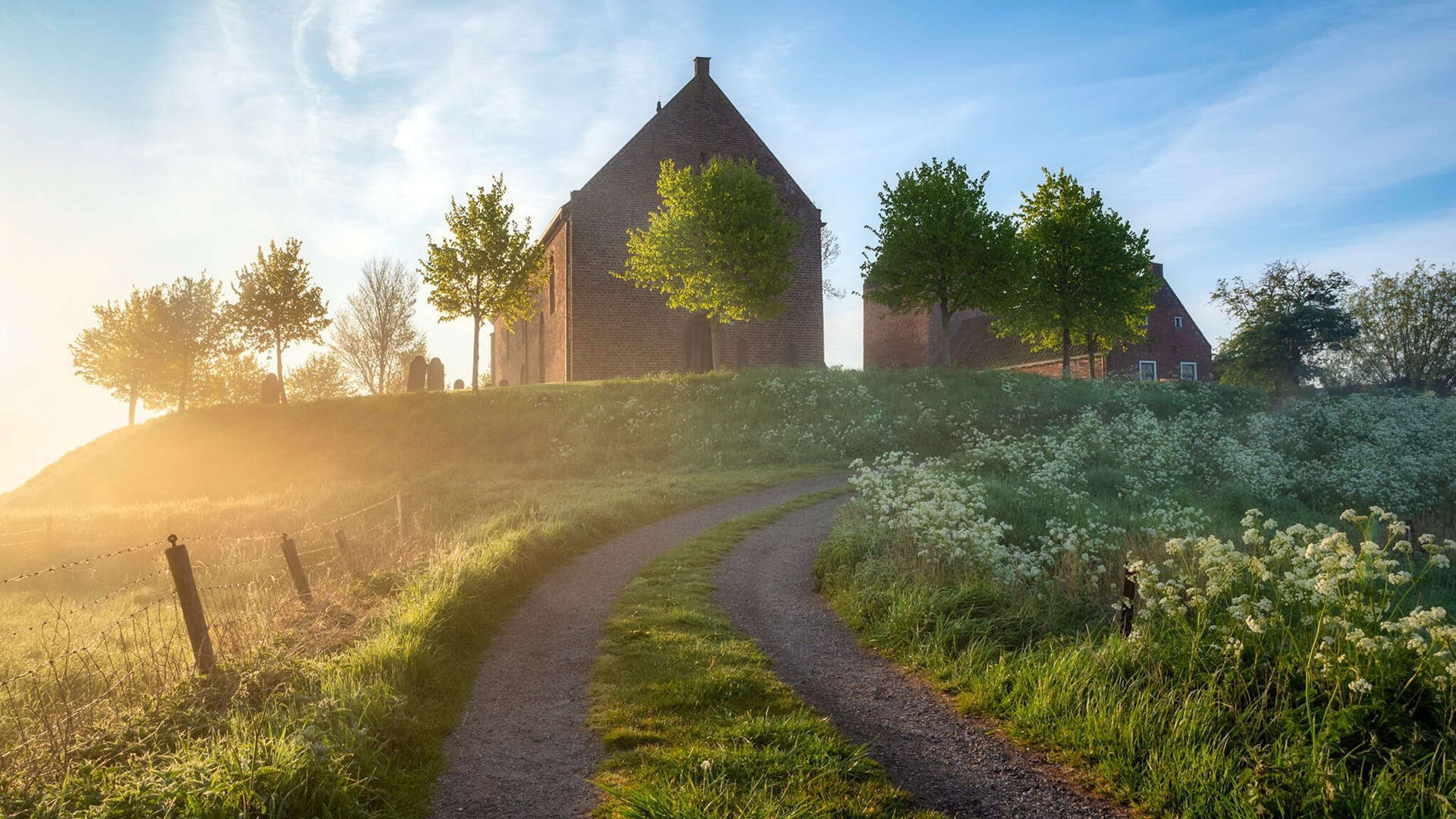 美国队未来展望：加速国内人才培养，提升国际竞争力，美国队展示